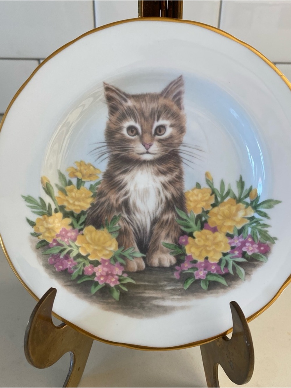 Staffordshire England Bone China Kitten Plate